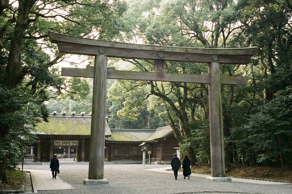 Seven Days in Tokyo: A Perfect Balance of Food, Culture, and Exploration. You Can’t Miss