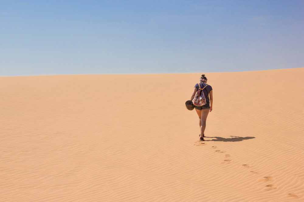 Overcoming Challenges to Visit the Least Explored Deserts